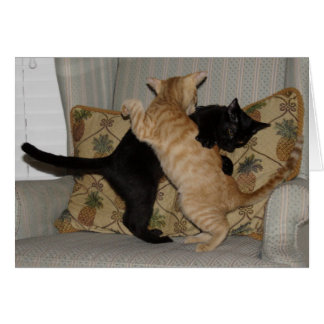 Kattdans Hälsningskort