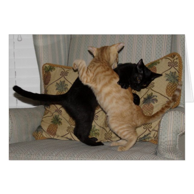 Kattdans Hälsningskort (Framsidan Horizontal)