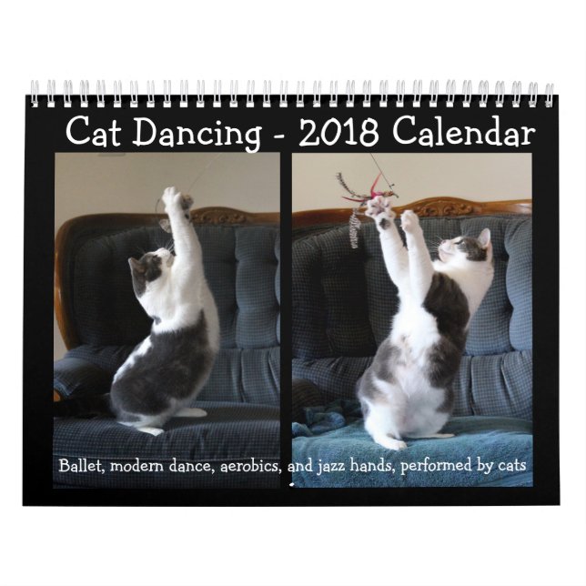 Kattdans - kalender 2018 (Omslag)