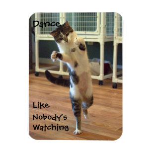 Kattdansmagnet Magnet