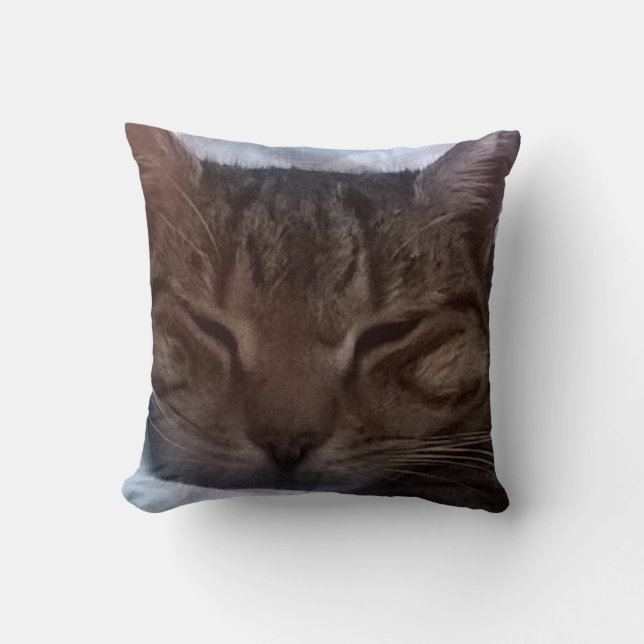 Kattdekorativ kudde (Framsida)