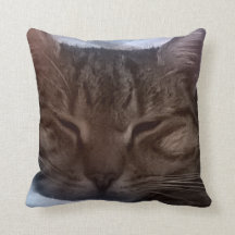 Kattdekorativ kudde