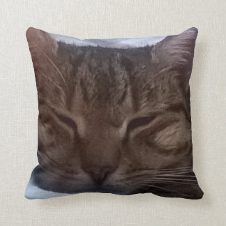 Kattdekorativ kudde