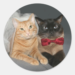 Kattdjur Bride and Groom Runt Klistermärke