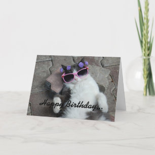Kattdjur Diva Birthday Kort
