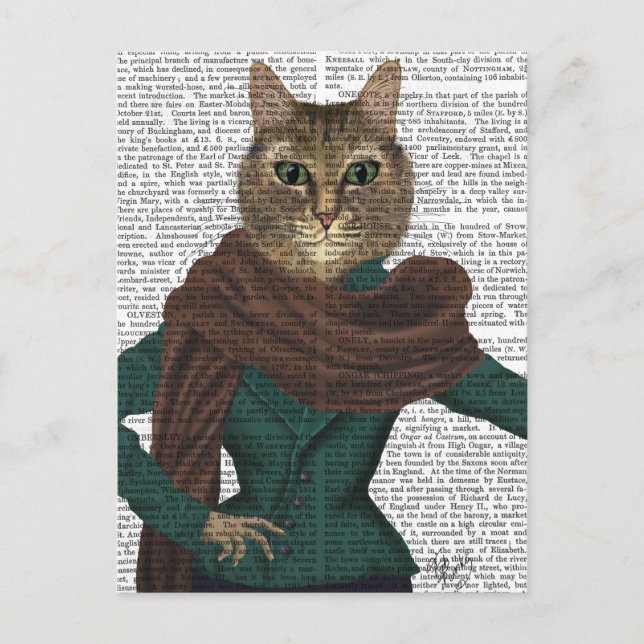 Kattdjur Fashionista Vykort (Framsida)