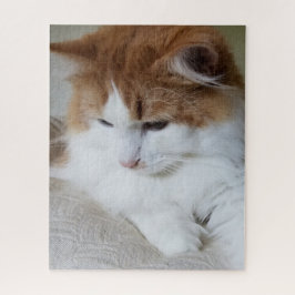 (Kattdjur Finare) Kattunge-koncentration: kattfoto Pussel