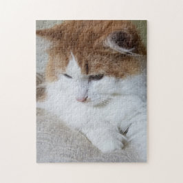 (Kattdjur Finare) Kattunge-koncentration: kattfoto Pussel