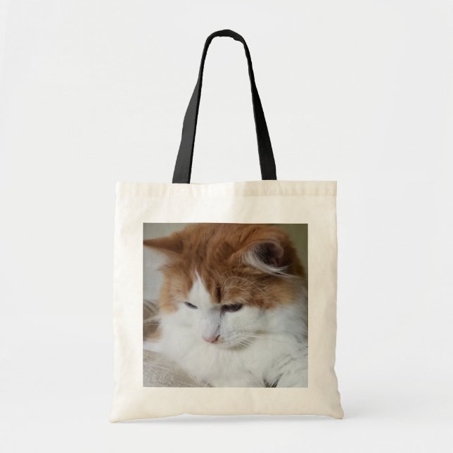 (Kattdjur Finare) Kattunge-koncentration: kattfoto Tygkasse (Framsidan)