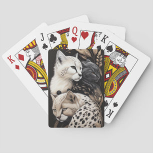 KATTDJUR FINESSE #1 CASINOKORT