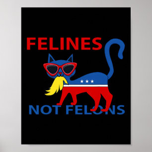 Kattdjur Inte Brottslingar Rolig Kamala Kattdam Me Poster