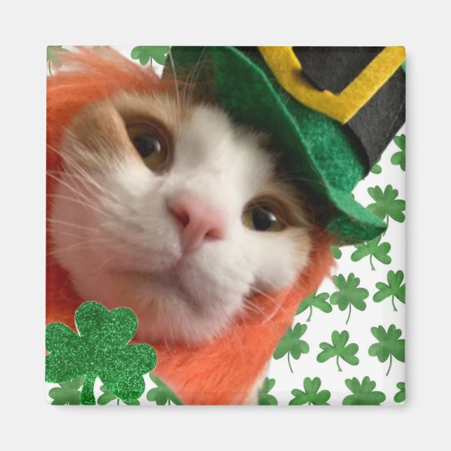 Kattdjur Lucky? Magnet (Framsidan)