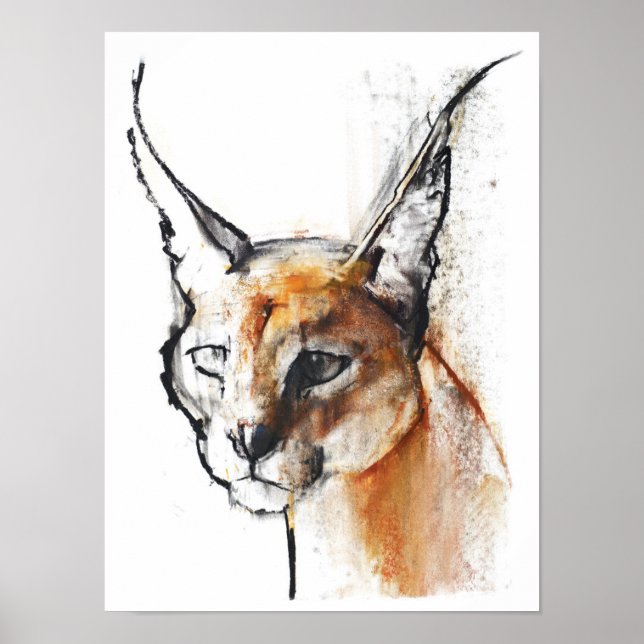 Kattdjur Poster (Framsidan)