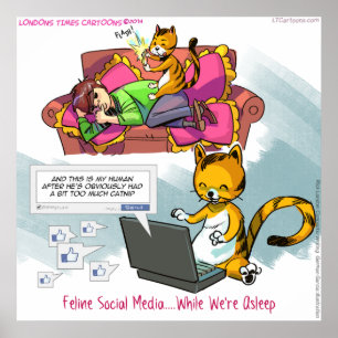Kattdjur Social Media Funny Poster