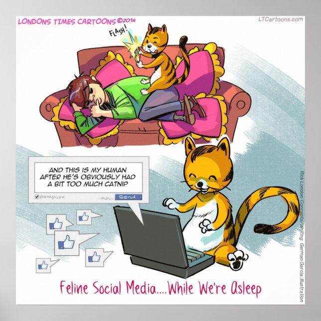 Kattdjur Social Media Funny Poster (Framsidan)