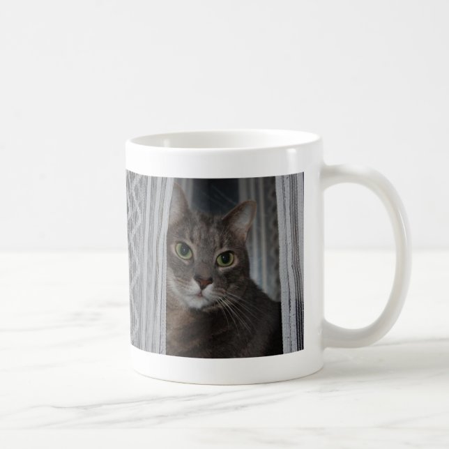 Kattdjur Söt Kattunge Cutest Cat någonsin Photo Mu Kaffemugg (Höger)