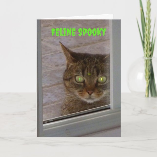 Kattdjur Spooky Cat Halloween Kort (Framsida)