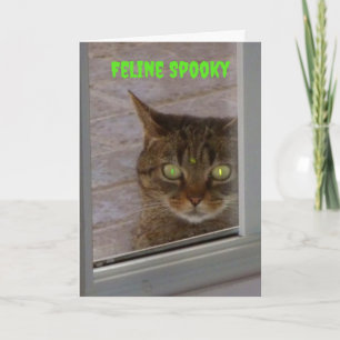 Kattdjur Spooky Cat Halloween Kort