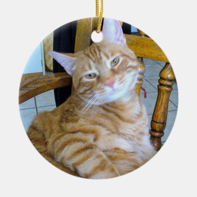 Kattdjur Tabby katt Lycklig Healthy har förstörts Julgransprydnad Keramik (Framsidan)