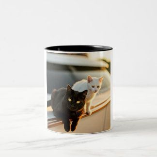 Kattdjur Yacht Life Mugg