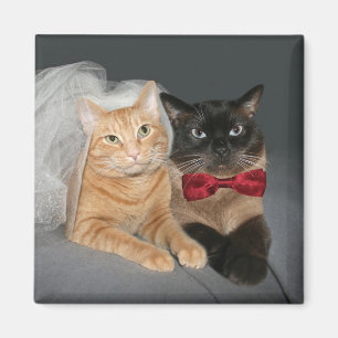 Kattdjurbrud och brudgum magnet