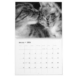 Kattdjuren Hand plockade Cats Vild och Domestic Kalender