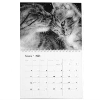 Kattdjuren Hand plockade Cats Vild och Domestic Kalender