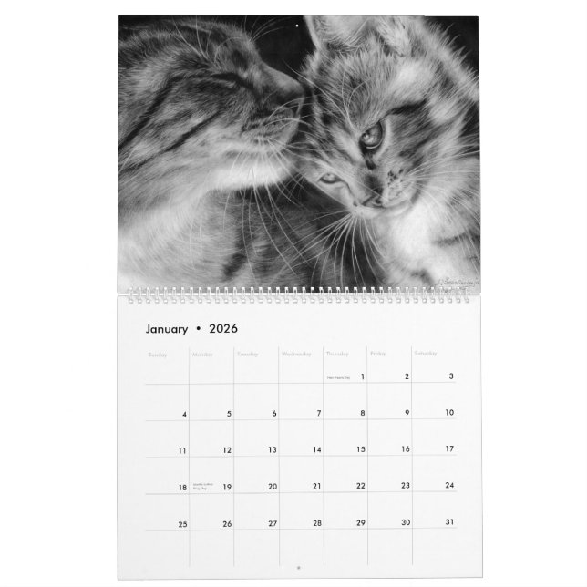 Kattdjuren Hand plockade Cats Vild och Domestic Kalender (Jan 2026)