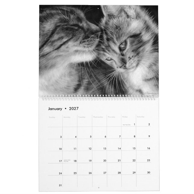 Kattdjuren Hand plockade Cats Vild och Domestic Kalender (Jan 2027)