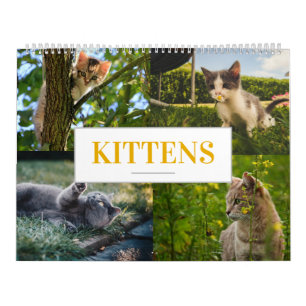 Kattdjuret Kalender - kalender - startvägg en