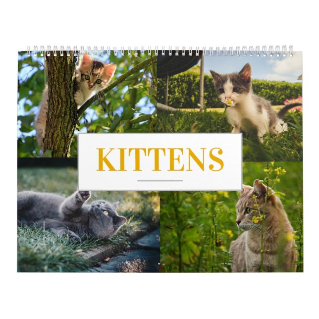 Kattdjuret Kalender - kalender - startvägg en (Omslag)