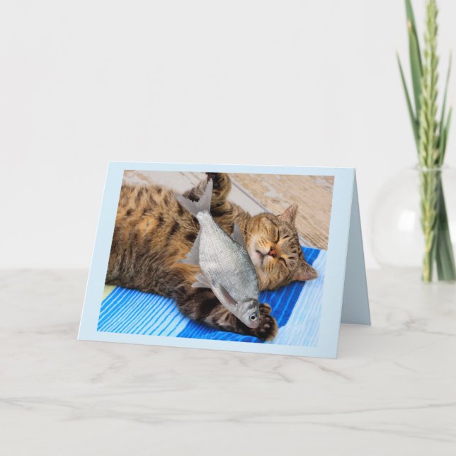 Kattdrömmar om fiskfödelsedag kort (Framsida)