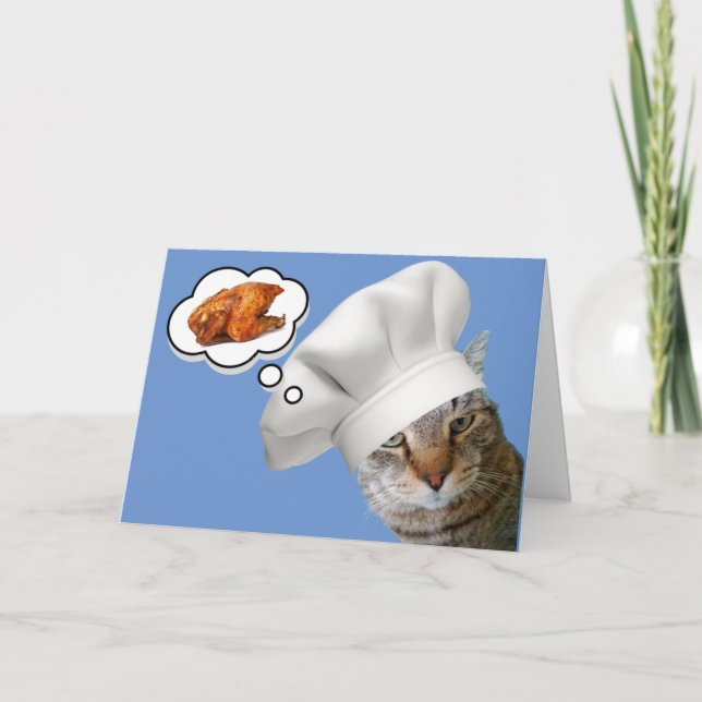 Kattdrömmar om kyckling kommer bra kort (Framsida)