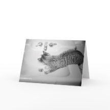 Kattdryck från en Sink Faucet Retro