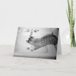 Kattdryck från en Sink Faucet Retro Helgkort