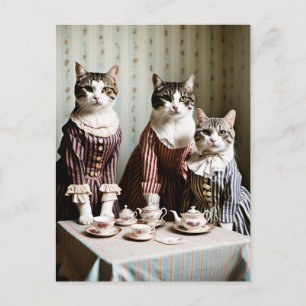 Katte-tepartaj Vykort