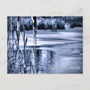 Kattel vid Winter Snö Blue Ice Vatten Ripples Catt Vykort