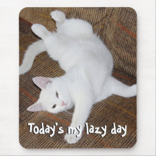 Kattelasticitet - Mousepad Musmatta