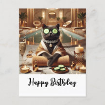 Katten är avslappnad i spa