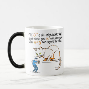 Katten är det enda djuret som kan titta på dig med magisk mugg