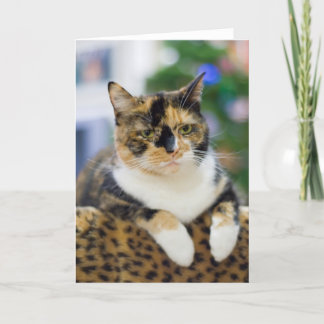 Katten är inte ammad helgkort