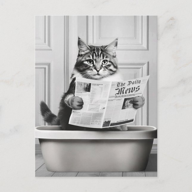 Katten är sitta på Toilet, katt läser nyheter Vykort (Framsida)
