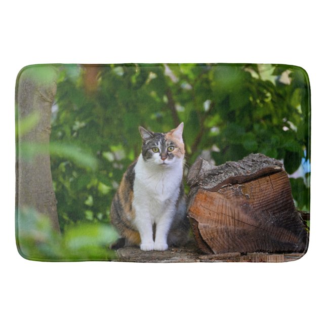 Katten Badrumsmatta (Framsidan)