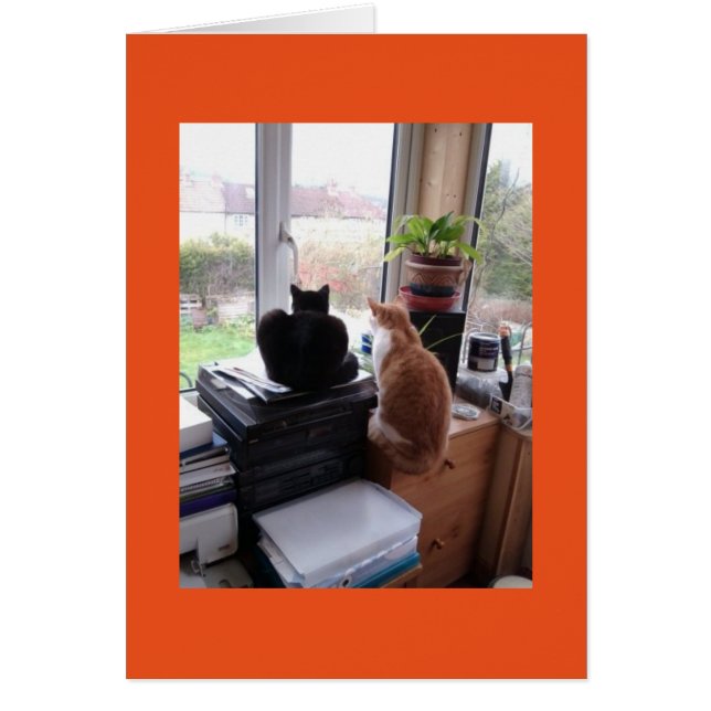 Katten beskådar från mitt röda/grönt kontorskort hälsningskort (Framsidan)