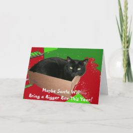 Katten boxas in julkortet helgkort