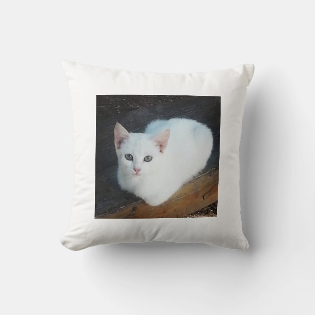 Katten dämpar kudde (Framsida)