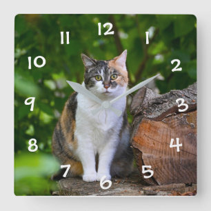 Katten Fyrkantig Klocka