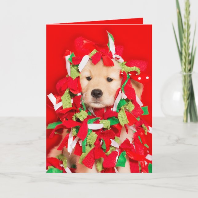 Katten gjorde det Golden Retriever-valpen Helgkort (Framsida)