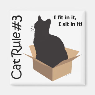 Katten härskar magneter #3