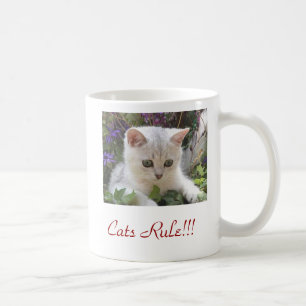 Katten härskar muggen kaffemugg